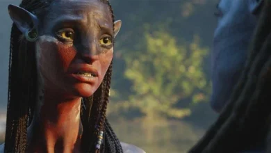 12 of the best films to watch this December