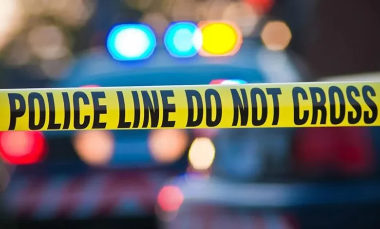 4 dead, 14 injured in California shooting at child's birthday party