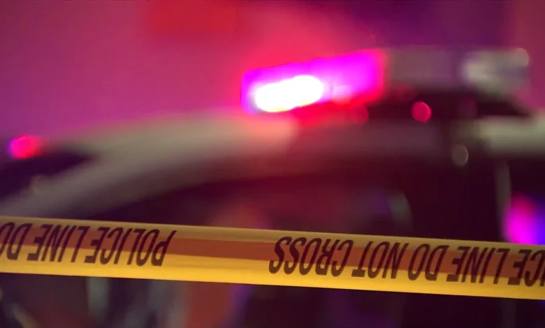 4 killed, several wounded in shooting at child's birthday party in Stockton