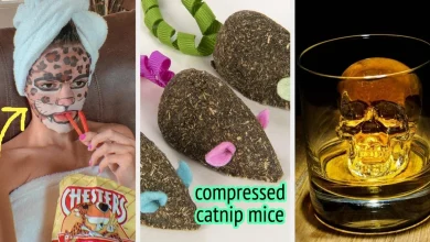 58 Stocking Stuffers For *Everyone* On Your List, From Your S.O. To The Family Cat - BuzzFeed