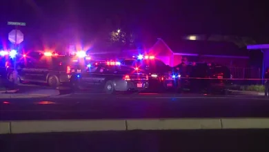 At least 4 killed, 10 wounded in shooting at "family gathering" in Stockton, officials say