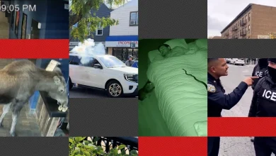 Can you spot AI videos from real ones? Take our quiz : NPR