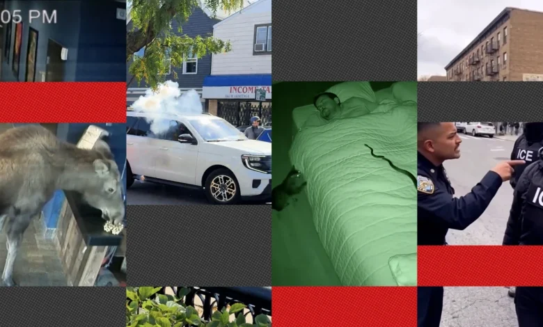 Can you spot AI videos from real ones? Take our quiz : NPR