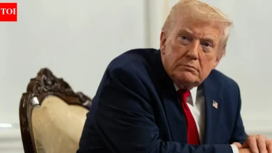 'Detrimental to US interests': Donald Trump justifies 'third world' migration ban amid asylum appeals; cites law