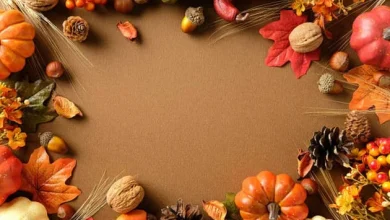 Digital sales jump on Thanksgiving after AI agents don't take the day off (XRT:NYSEARCA)