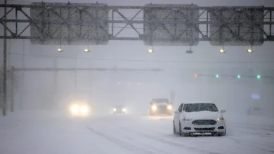 Driver in electric vehicle stranded on Hwy. 401 during snowstorm