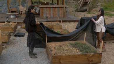 Fabiola Campomanes le hace sorpresiva petición a Sergio Mayer Mori en La Granja VIP: “Si me quedo, ellos me va