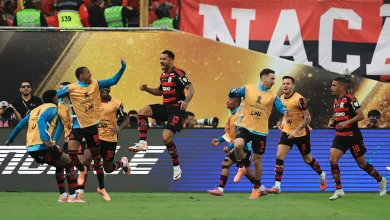 🚨 Flamengo crowned Copa Libertadores champs with narrow Palmeiras win