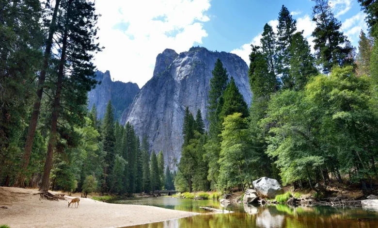 Foreign tourists to pay $100 ‘America-first’ fee for national parks - The Times