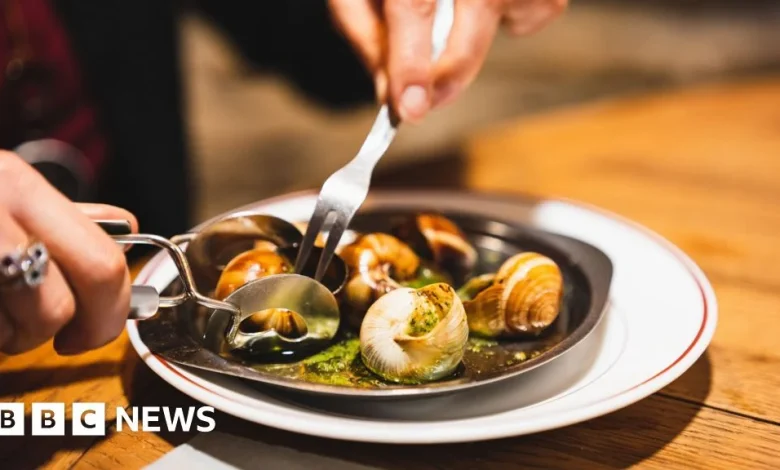 French farm has €90,000 worth of escargot snails stolen