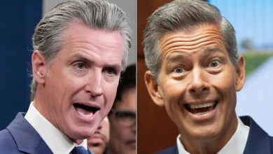 Gavin Newsom Responds To Sean Duffy’s Airport ‘Dress Up’ Advice In A Nasty Dig At Another MAGA Official