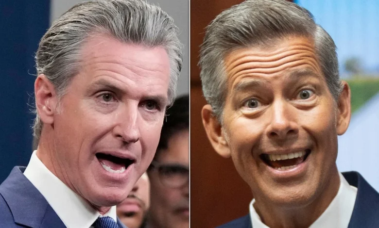 Gavin Newsom Responds To Sean Duffy’s Airport ‘Dress Up’ Advice In A Nasty Dig At Another MAGA Official