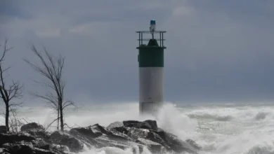 High winds cause power outages