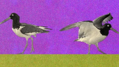 How I Ended ‘No Contact’ Estrangement With My Mom After Kids