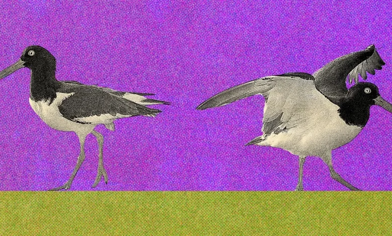 How I Ended ‘No Contact’ Estrangement With My Mom After Kids