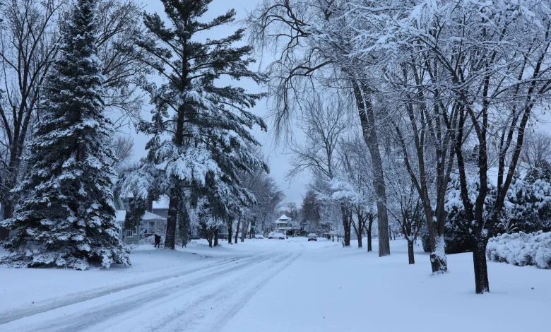 How much snow did Minnesota get? Here are snowfall totals tracked by weather watchers - MPR News