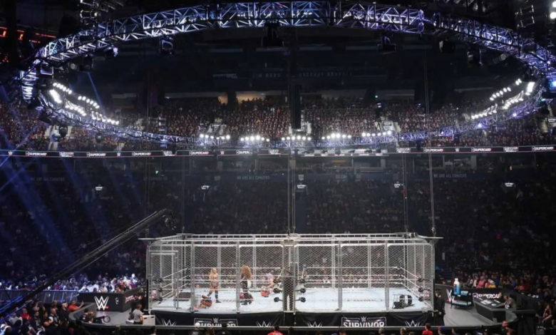 Injured WWE Star Set to Return at Survivor Series 2025: Report