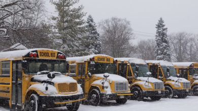 Is the bus cancelled? How to check Ontario school bus cancellations and delays in your region