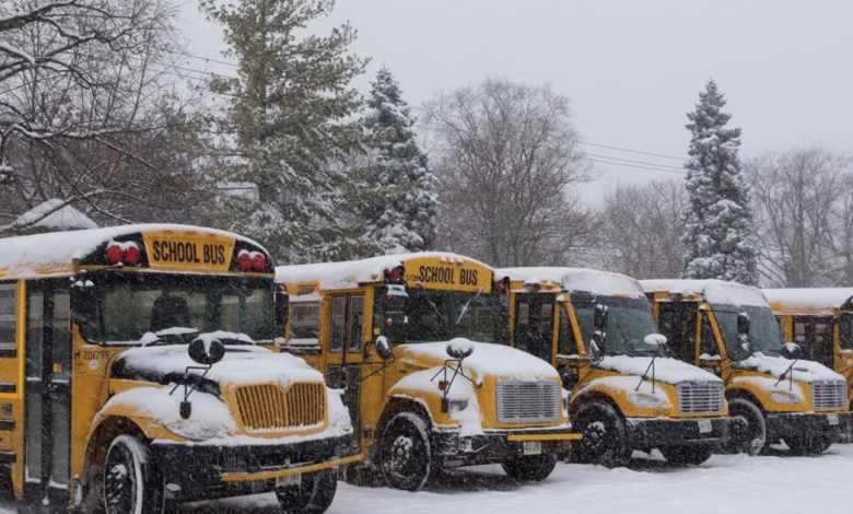 Is the bus cancelled? How to check Ontario school bus cancellations and delays in your region