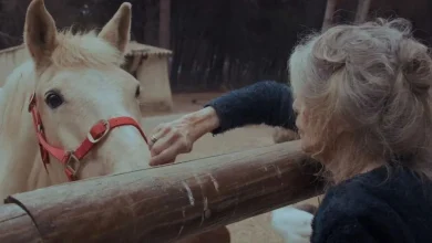 "Je suis née libre et je mourrai libre" : Brigitte Bardot de retour au cinéma dans un documentaire aux accents de testament