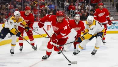 Line Combinations: Red Wings vs. Predators