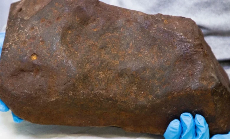 Man Keeps Rock For Years, Hoping It's Gold. It Turned Out to Be Way More Valuable. : ScienceAlert