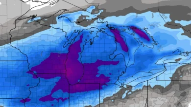 Michigan Weather Video: Focus turns to next imminent snowstorm