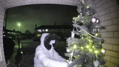 Moment hooded 'real-life Grinch' robs mum-of-10's Christmas tree from doorstep
