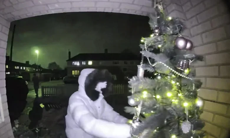 Moment hooded 'real-life Grinch' robs mum-of-10's Christmas tree from doorstep