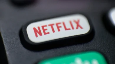 Netflix cancels original series after just two seasons: report
