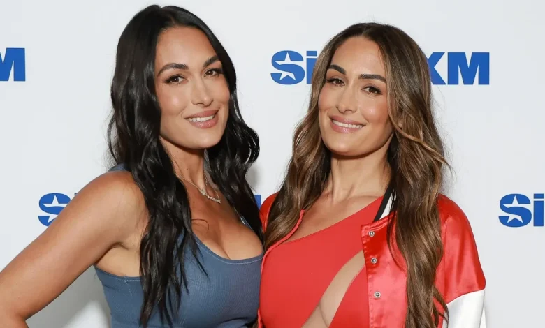 Nikki Bella Teases Brie Bella Returning to WWE