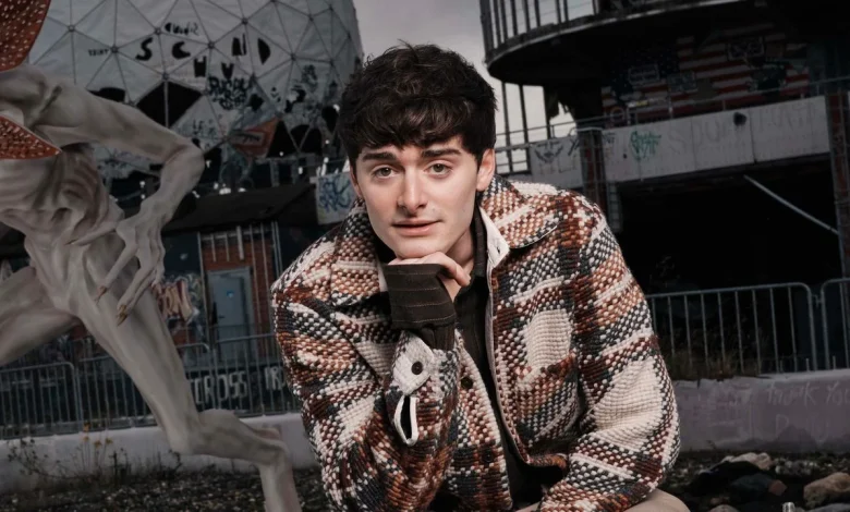 Noah Schnapp Reveals Will’s Secret Is Actually in the Stranger Things Poster