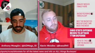 Ohio State QB Julian Sayin's Time To Shine in First Appearance Against Michigan