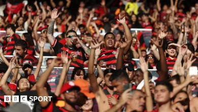 Palmeiras vs Flamengo LIVE: Watch Copa Libertadores final score, stream & updates