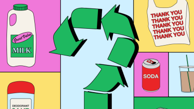 Quiz: Which objects actually get recycled?