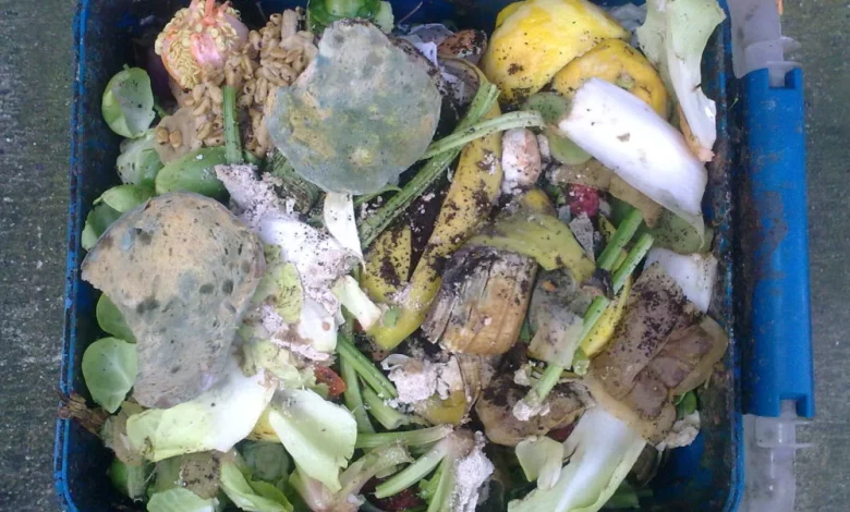 Reform councillor’s bin snooping concerns