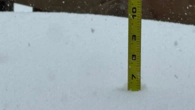 Snowfall reports from Saturday's snowstorm in eastern Iowa