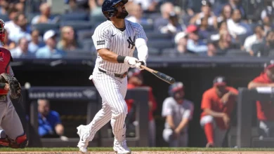 Sorting Out The Yankees’ Outfield