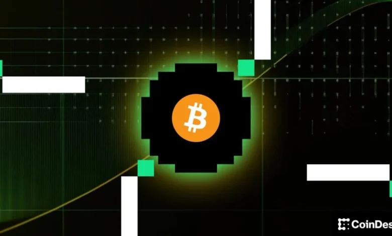 Strategy (MSTR) CEO Says His Firm Has 'More Flexibility Than Ever' to Keep Buying Bitcoin