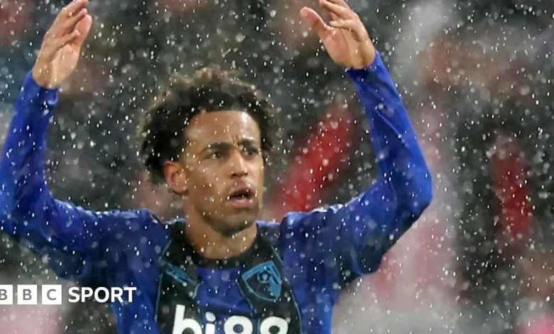 Sunderland vs AFC Bournemouth: Premier League preview, team news, stats & head-to-head