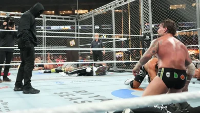 Survivor Series WarGames: Who is the masked man who attacked CM Punk?
