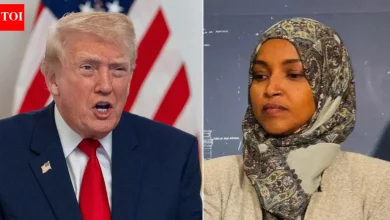 'Swaddling hijab, married brother': Donald Trump attacks Congresswoman Ilhan Omar; remarks amid crackdown on immigration