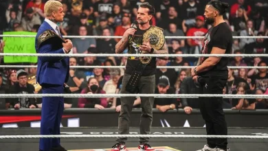 WWE Survivor Series: WarGames Sets Stage For WrestleMania 42 As Masked Superstar Attacks CM Punk