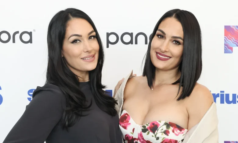 WWE's Nikki Bella Says Current Run Has Been 'Lonely' Without Her Sister Brie
