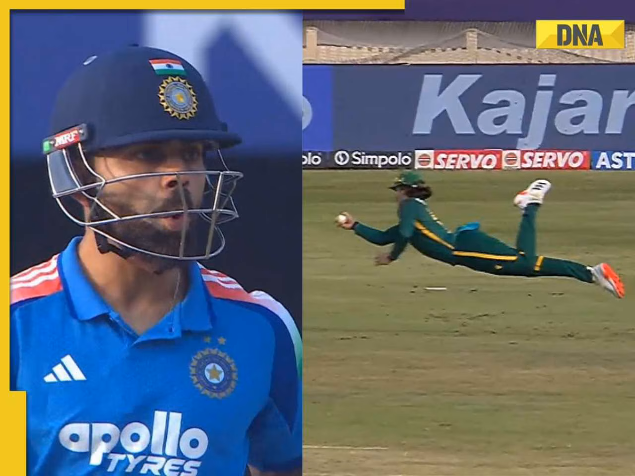 Watch: Dewald Brevis takes one-handed stunner to dismiss Ruturaj Gaikwad; Virat Kohli's reaction goes viral