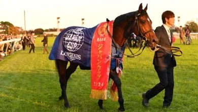 What to Know About and How to Watch the 2025 Japan Cup