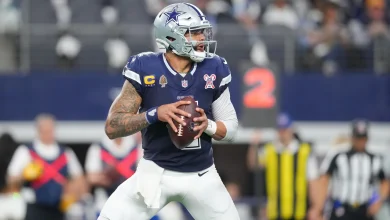 2025 NFL Week 17 Expert Picks