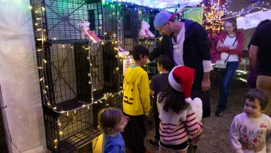 37th Street Lights' petting zoo trades stuffed animals for a task
