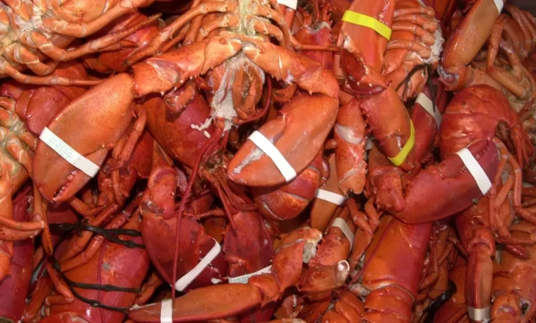$400k worth of lobster stolen from Massachusetts warehouse