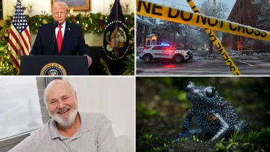 5 Things Weekly News Quiz - CNN